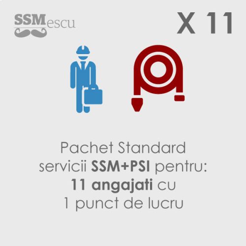 SSM si PSI pentru 11 angajati si 1 punct de lucru