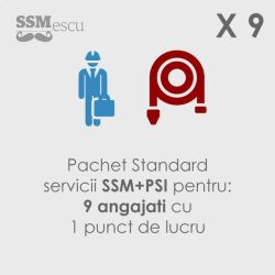 SSM + PSI pentru 9 angajati si 1 punct de lucru
