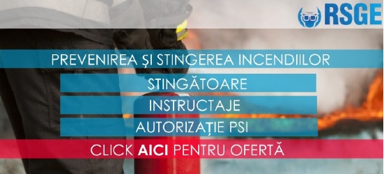 RSGE, servicii PSI RSGE, ofertă servicii PSI